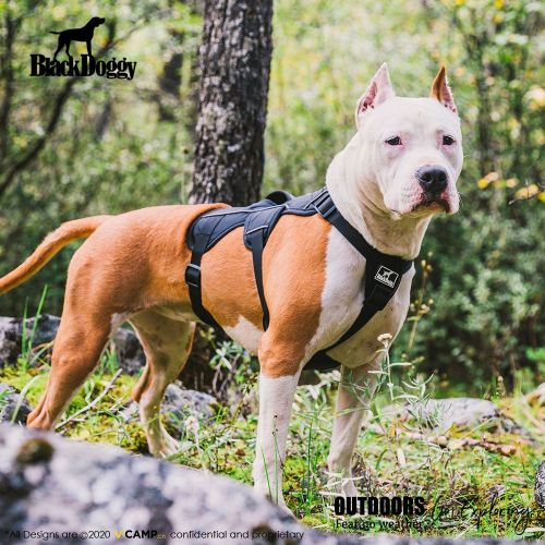 Multi-Use Support Dog Harness, Hiking and Trail Running, Service and Working, Everyday Wear-black XH Multi-Use Support Dog Harness, Hiking and Trail Running, Service and Working, Everyday Wear-black XH